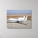 Suche nach falken leinwandbilder Fotografie