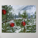 Suche nach immergrüner baum poster Winter