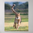 Suche nach sprinter poster Laufen