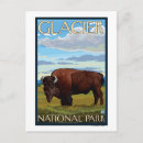 Suche nach nationaler bison postkarten Park
