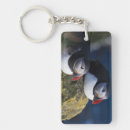 Suche nach puffin schlüsselanhänger Vogelvogel