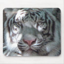 Suche nach wilde katzen mousepads Wild lebende tiere