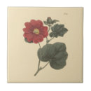 Suche nach botanische illustration fliesen Rot