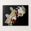 Suche nach weiße orchideen puzzle Foto