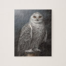 Suche nach raubvögel puzzle Eule