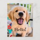 Suche nach hündchen postkarten Goldene retriever