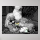 Suche nach seide poster Natur