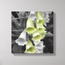 Suche nach schwarze farbe leinwandbilder Fotografie