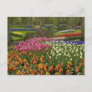 Suche nach keukenhof gärten postkarten Umwelt
