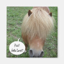 Suche nach karotte magnete Farbe