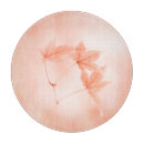 Suche nach ahorn schneidebrettchen Herbst