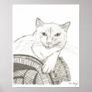 Suche nach ragdoll cat poster Kitty