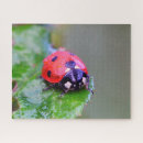 Suche nach marienkäfer puzzle Puzzlespiel