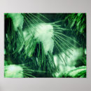 Suche nach nadel poster Natur