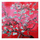 Suche nach almond poster Mandelblüten