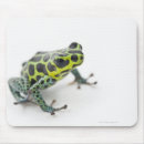 Suche nach grüne frösche mousepads In voller länge