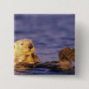 Suche nach seeotter buttons Tier