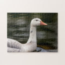 Suche nach gänse puzzle Wasservögel