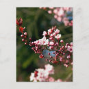 Suche nach rosa hintergrund postkarten Modern