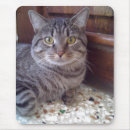Suche nach domestiziert mousepads Katzen