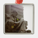 Suche nach statue ornamente Vertikal