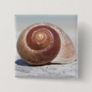 Suche nach seashell buttons Strand