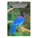 Suche nach birds klemmbrett Wildvogel
