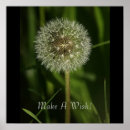 Suche nach wasserstraßen poster Pflanze