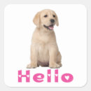 Suche nach gelbes labrador retriever aufkleber Welpen