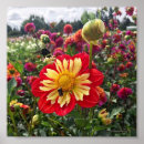 Suche nach rad kunst Sommer