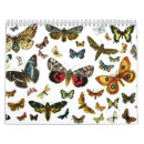 Suche nach schmetterling kalender Raupen