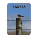 Suche nach schlafen magnete Bunt