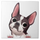 Suche nach boston terrier fliesen Niedlich