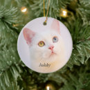 Suche nach cat ornamente Typografie