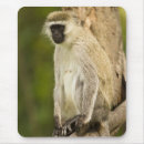 Suche nach mcdonalds mousepads Kenia