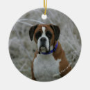 Suche nach frost ornamente Foto