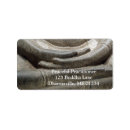 Suche nach buddhistisches mudra andere Buddhismus