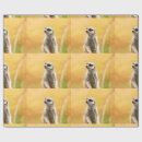 Suche nach meerkat geschenkpapier Niedlich