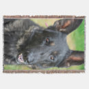 Suche nach deutscher schäferhund decken Polizeihund