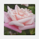 Suche nach ton auf magnete Für sie