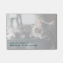 Suche nach tabbykatzen poster Hauskatze
