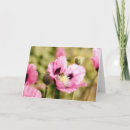Suche nach mohnblüte karten Blume