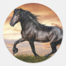 Suche nach schwarzes pferd aufkleber Tier