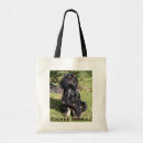 Suche nach cocker spaniel foto Tier