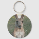 Suche nach känguru schlüsselanhänger Wallaby