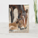 Suche nach stuten karten Mother