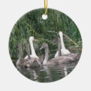 Suche nach lustige vögel ornamente Bezaubernd