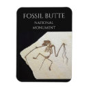 Suche nach butte magnete Fossil