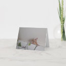 Suche nach blick karten Katze