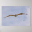 Suche nach ansteigen poster Fliegen
